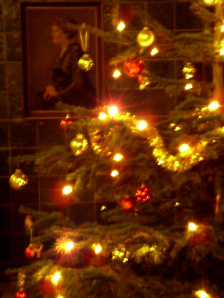 Unser Weihnachtsbaum 2007