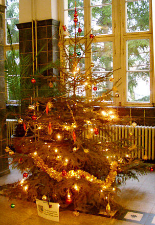 Unser Weihnachstbaum - bis zum 14.12.09